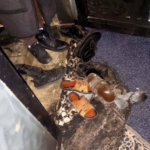 Izraelski doseljenici pokušali spaliti džamiju u okupiranom selu Tell