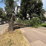 KO BRINE O TRULIM STABLIMA – UBICAMA U SARAJEVSKIM PARKOVIMA?